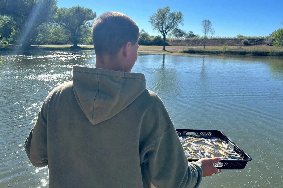 A farmer at the edge of a fish pond in bright daylight