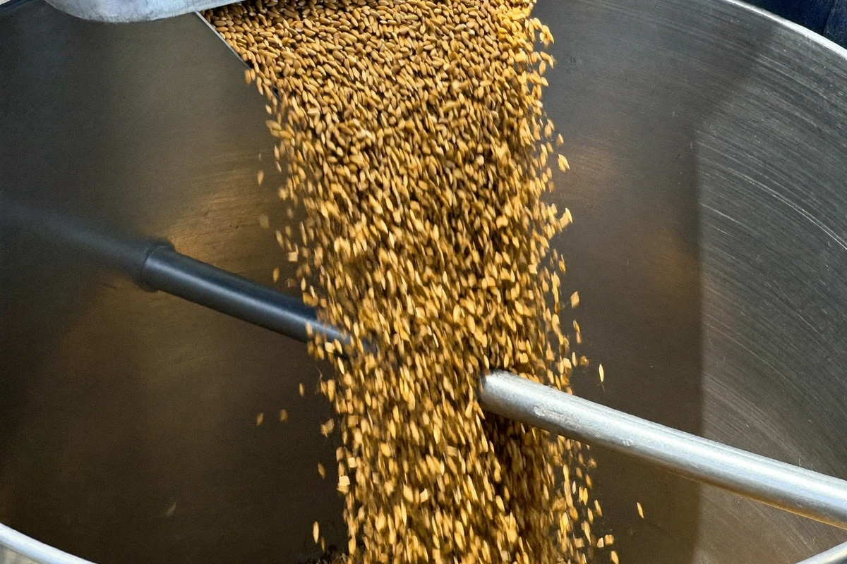 Grain pouring into a mixing drum at a processing plant