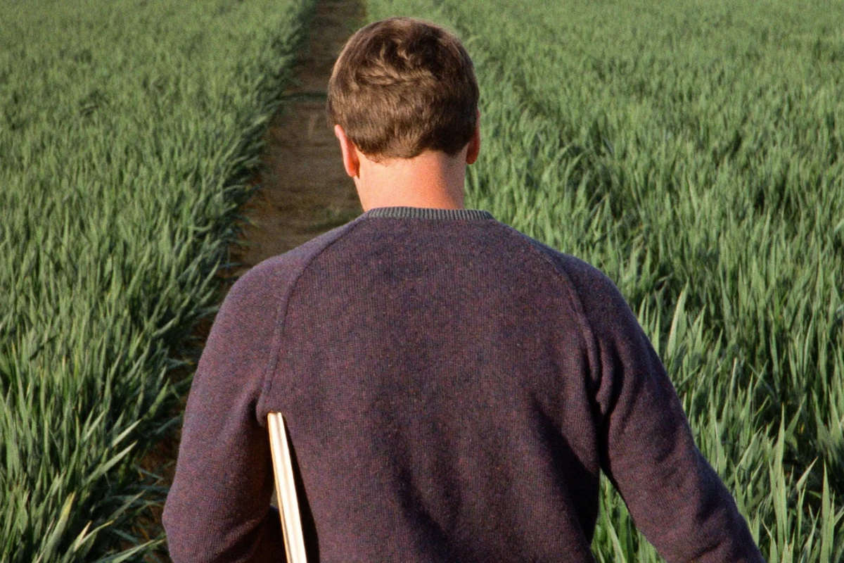 A grower walking between rows of a cereal crop
